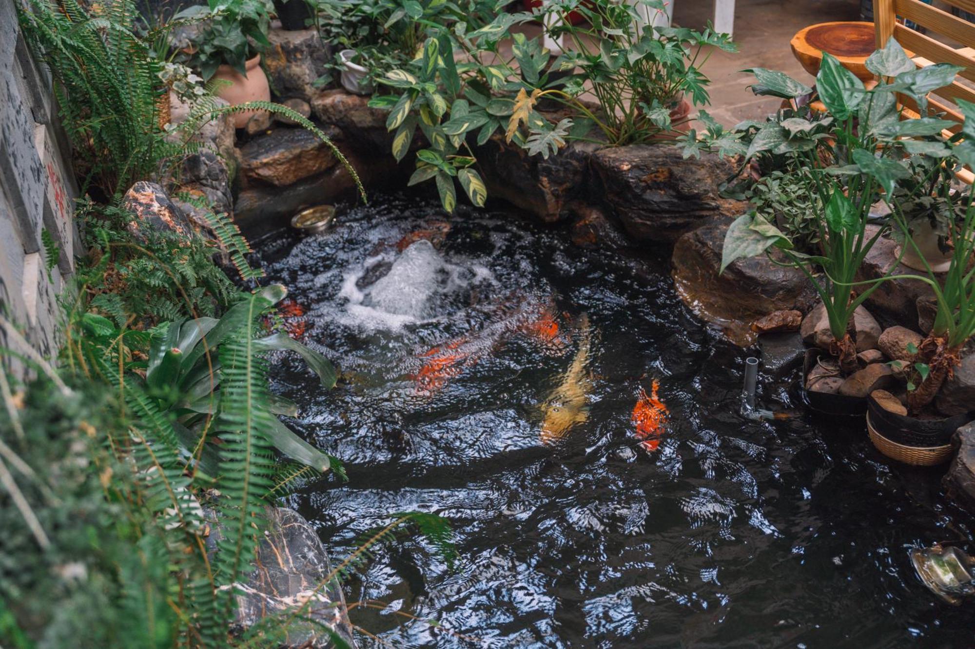 St House Dalat Hotel Bagian luar foto